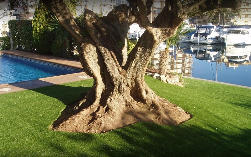 Jardineria a Seva (Osona) – Rustic Jardí